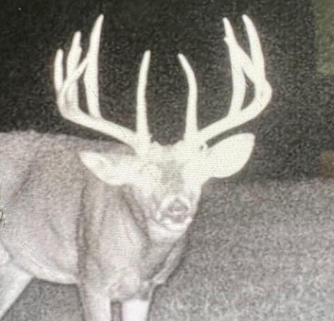 Whitetail Potential Trail-camera images of a mature buck. Whitetail Potential Trail-camera images of a mature buck.