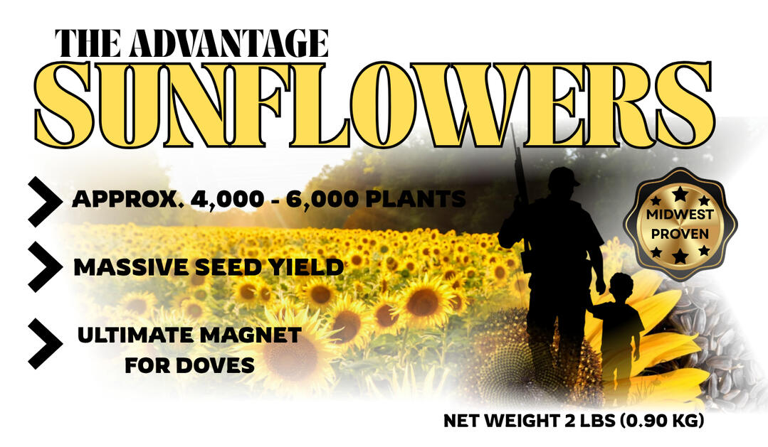 SUNFLOWERS