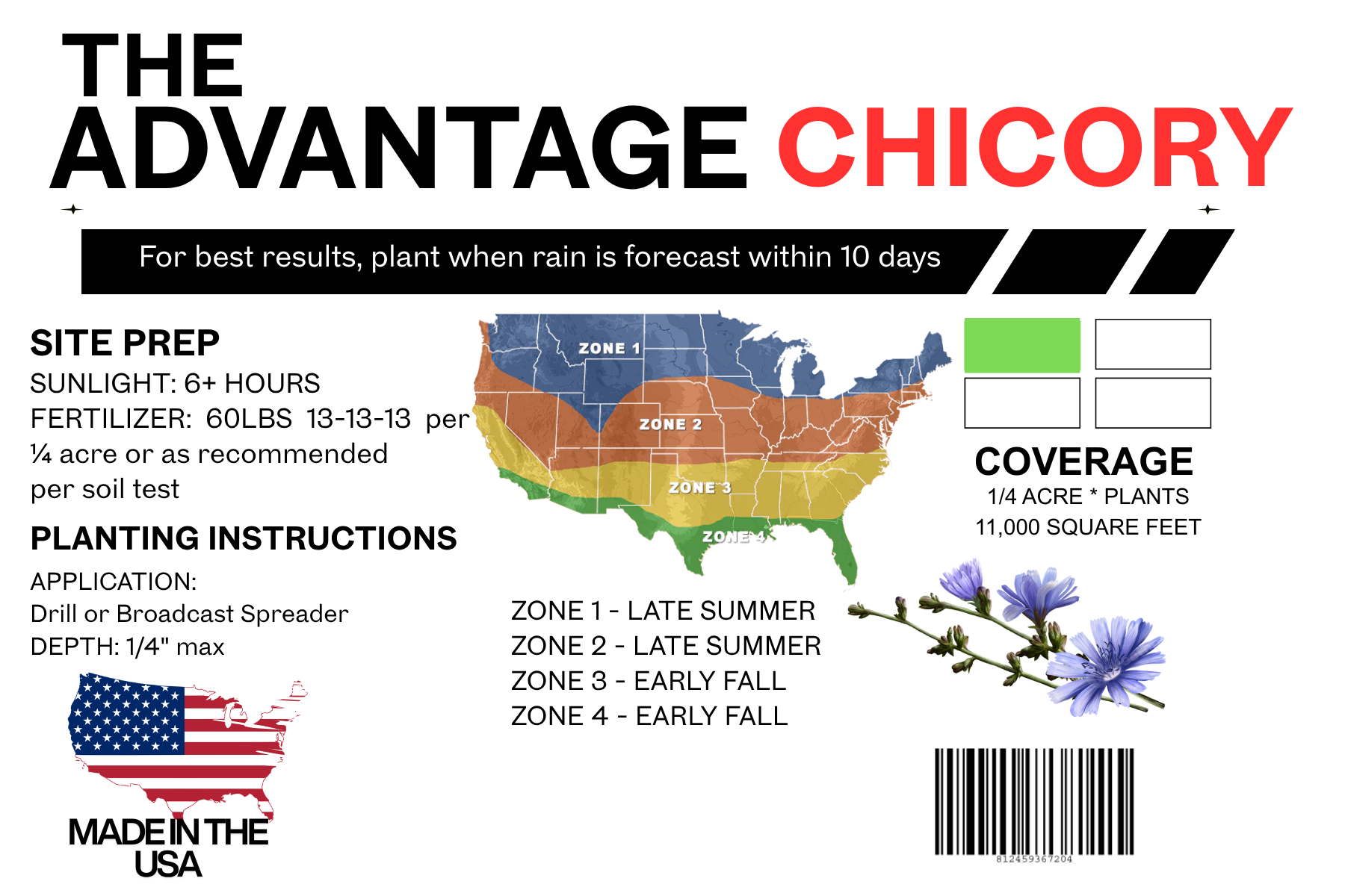 The Advantage Chicory