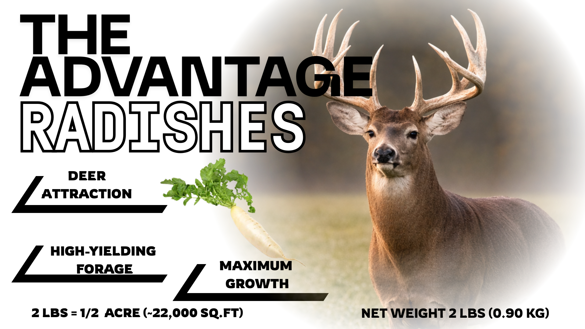 The Advantage Radishes