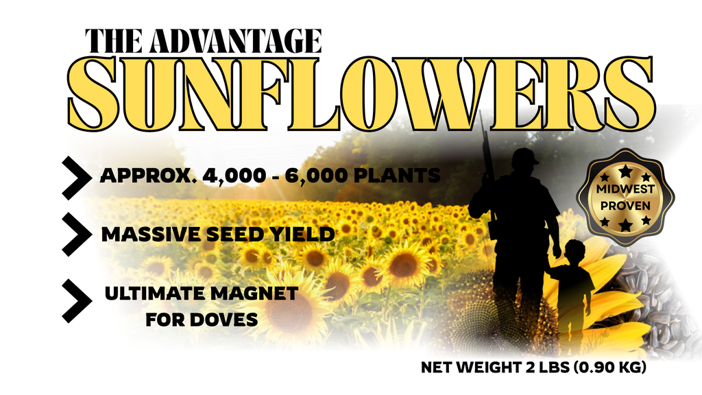 The Advantage Sunflower