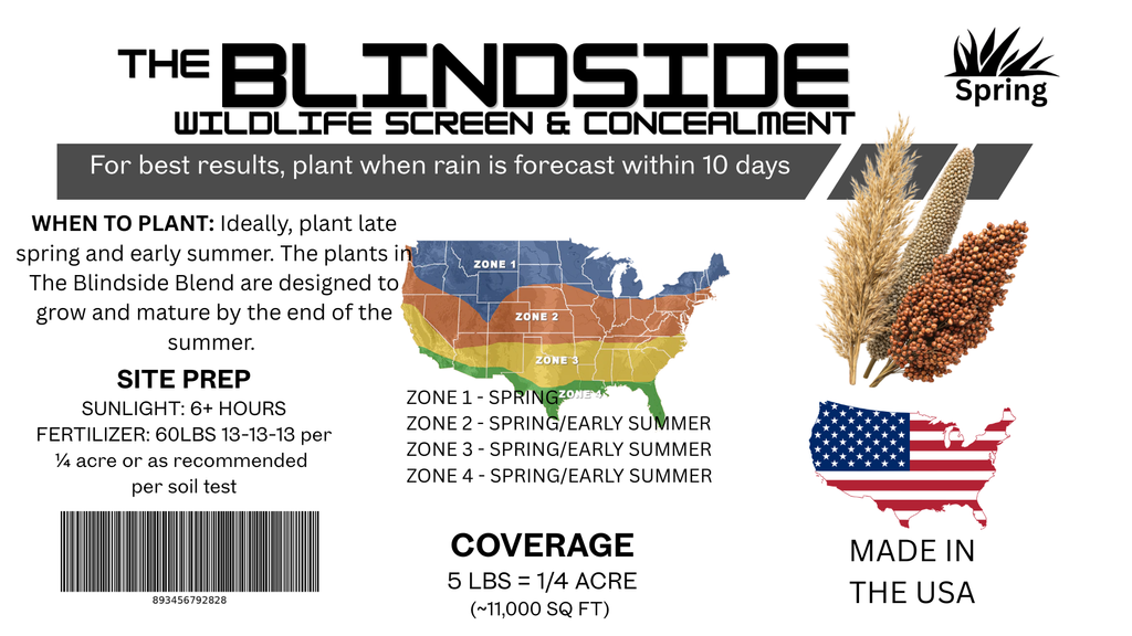 The Blindside
