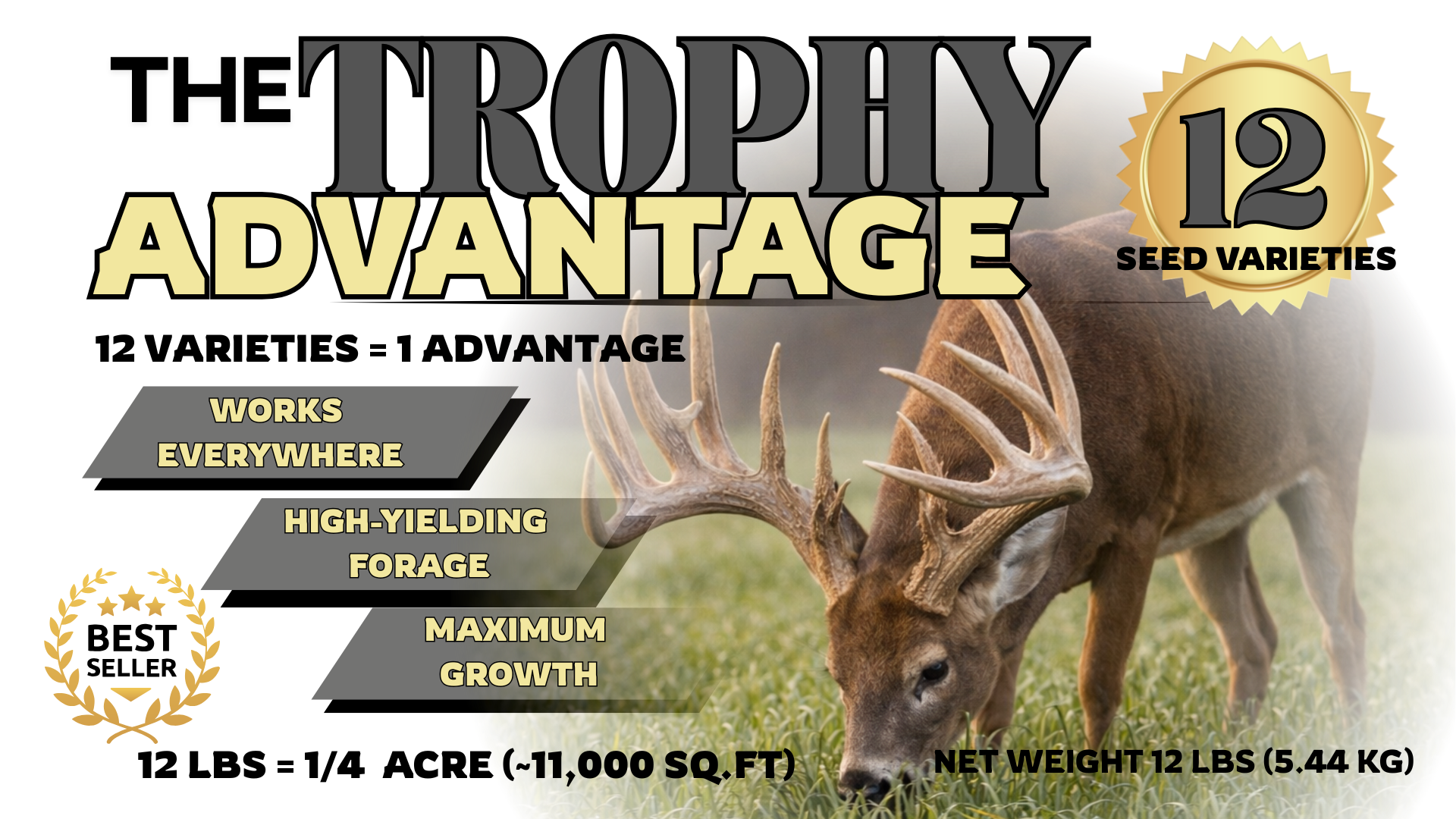 The Trophy Advantage