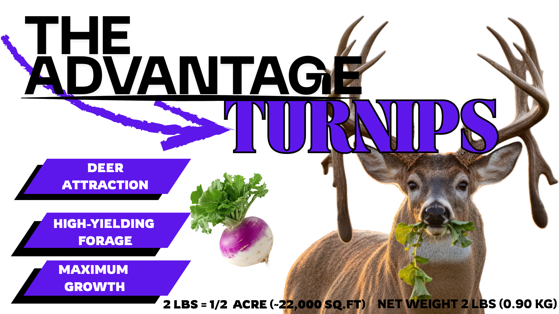 The Advantage Turnips